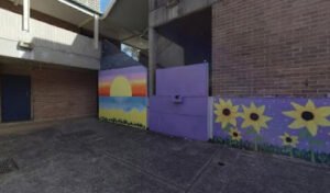 Davidson High School