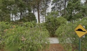 Como Secondary College